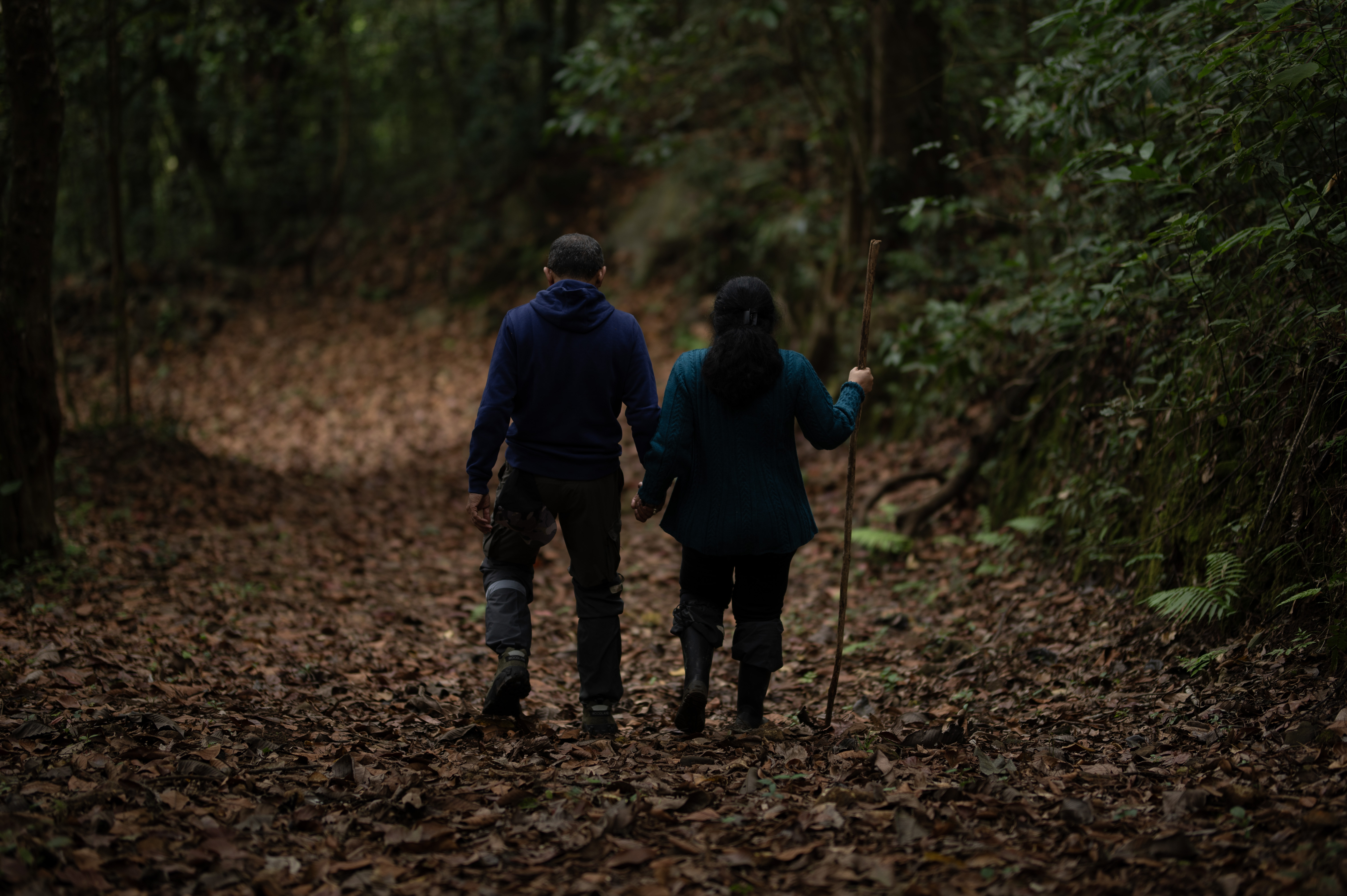 A million notifications.